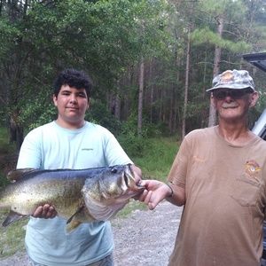 Meet your Posher, Bryce